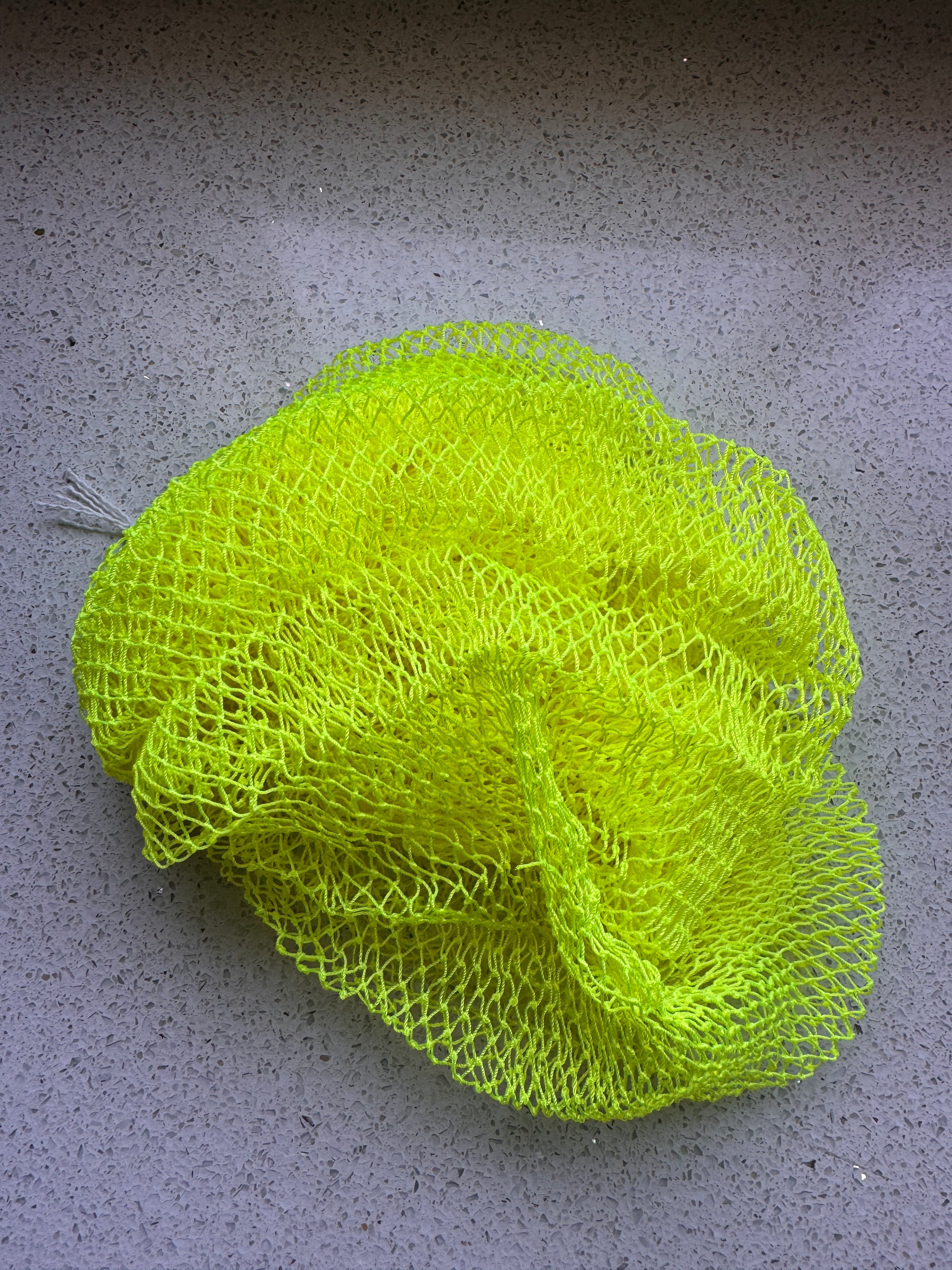 Sponge 