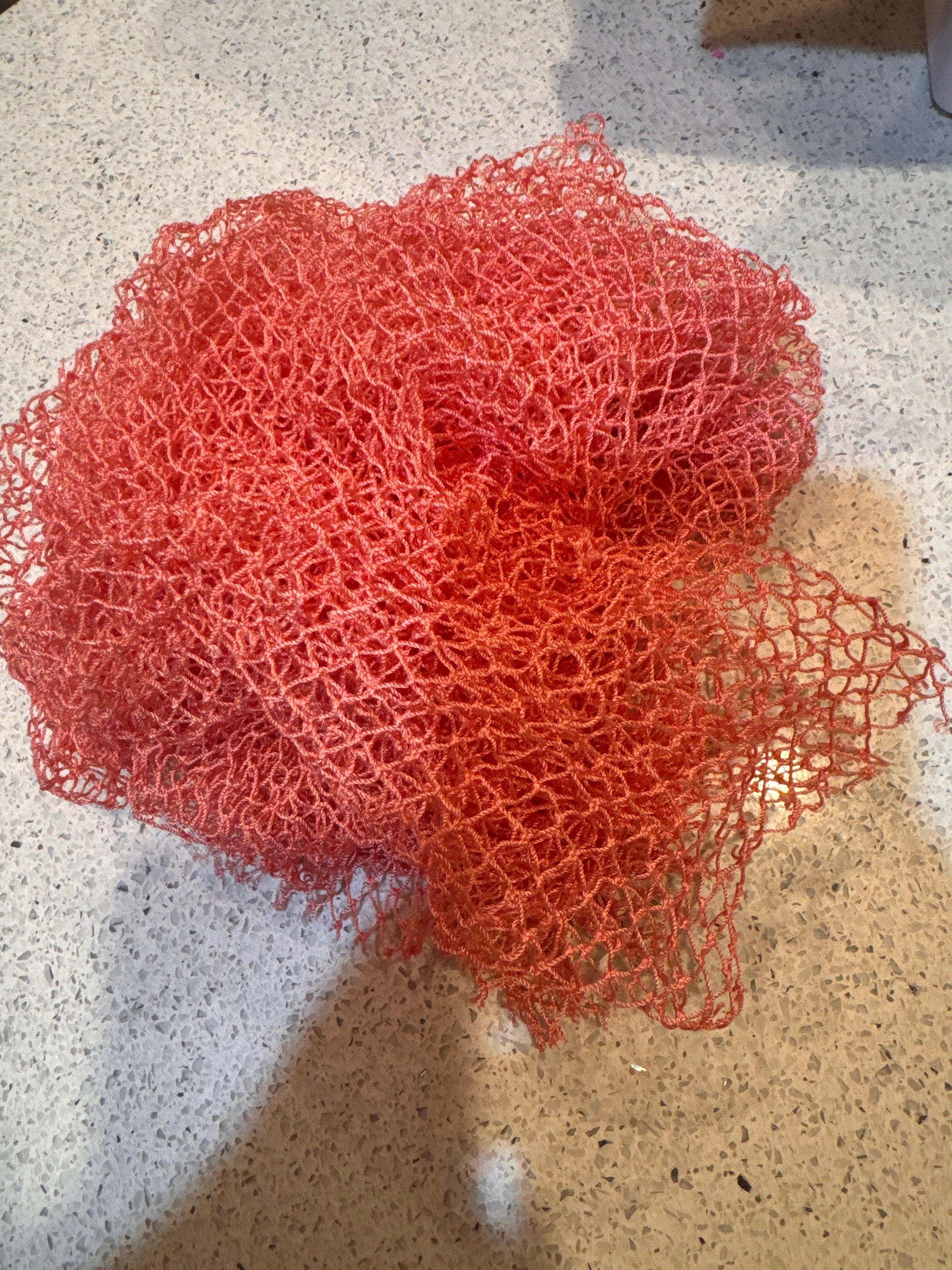 African Net Sponge 1